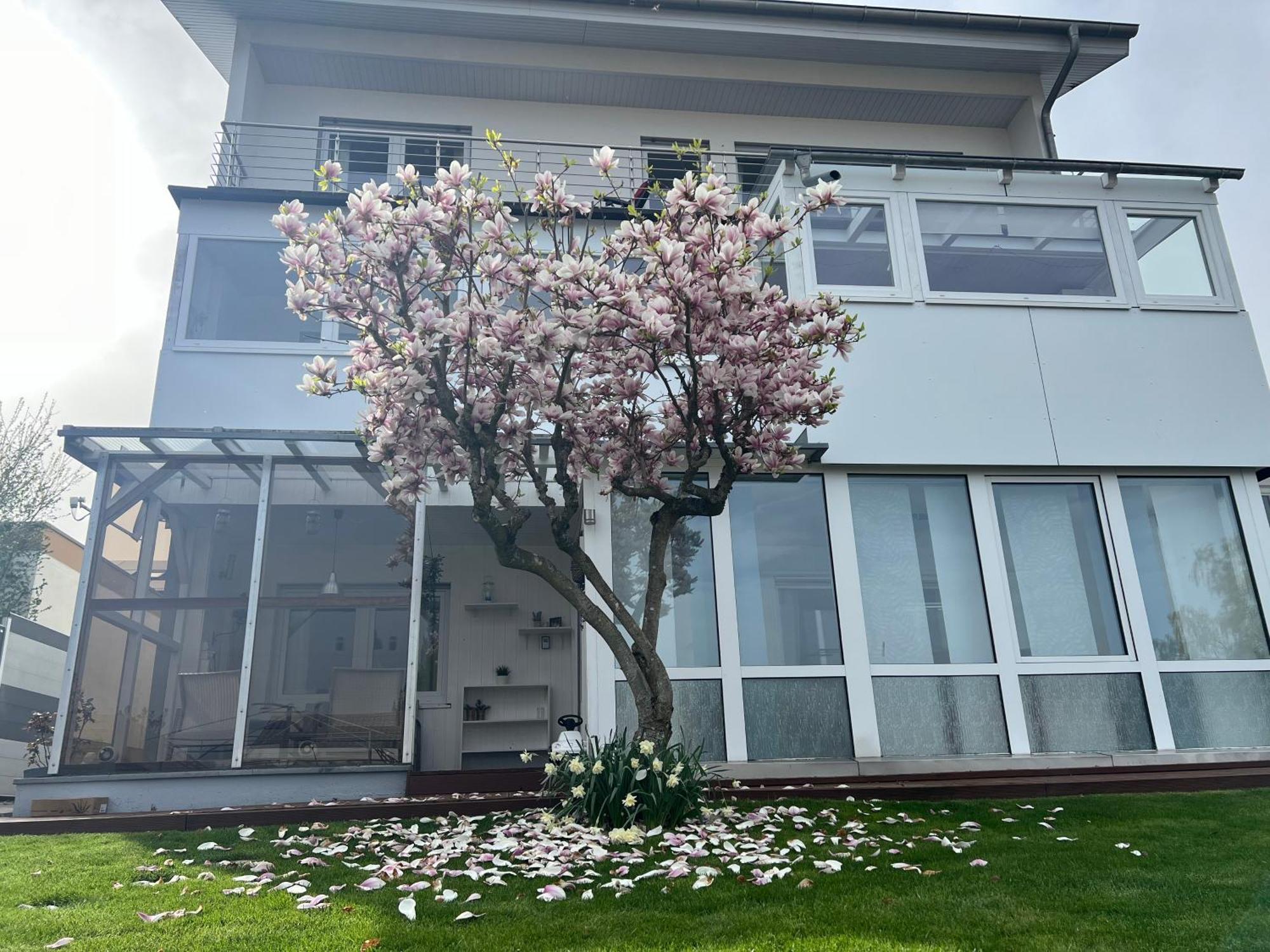 Ferienwohnung Schwarzwald Lodge Schömberg Zewnętrze zdjęcie