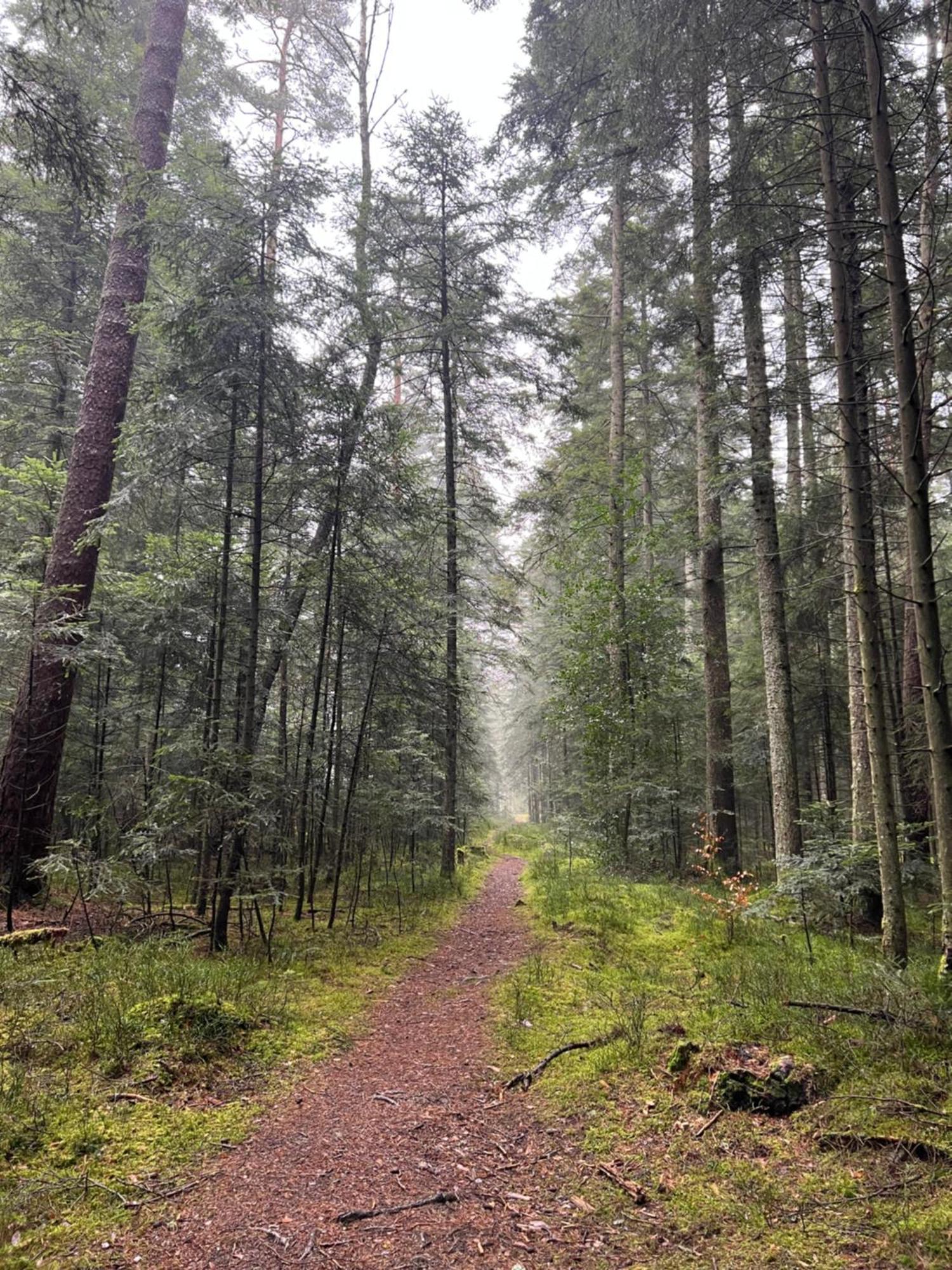 Ferienwohnung Schwarzwald Lodge Schömberg Zewnętrze zdjęcie